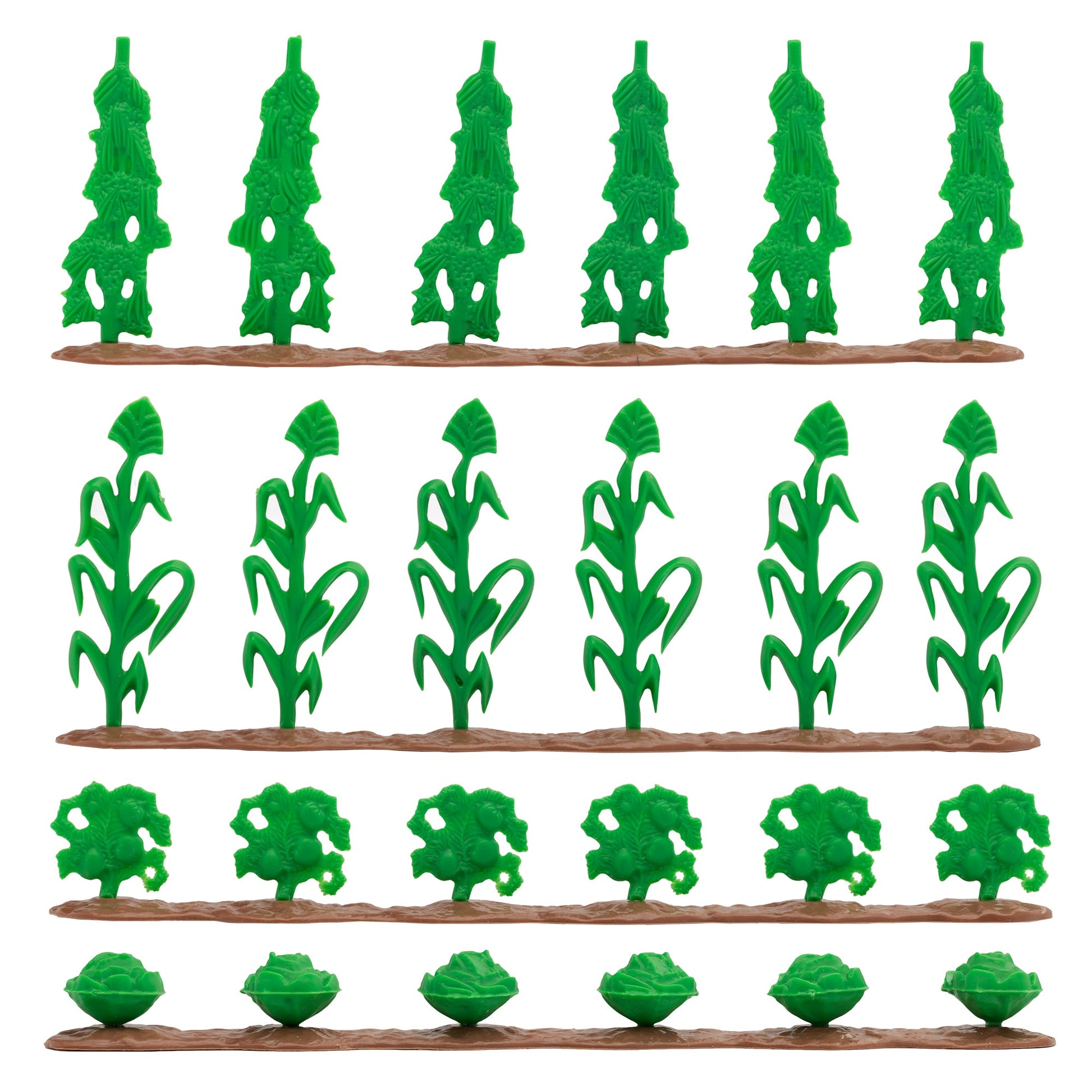 BMC Classic Marx Farm Field Corn and Vegetable Crop Rows Close Up